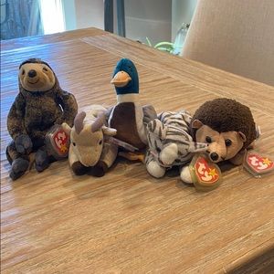 Beanie Baby Lot